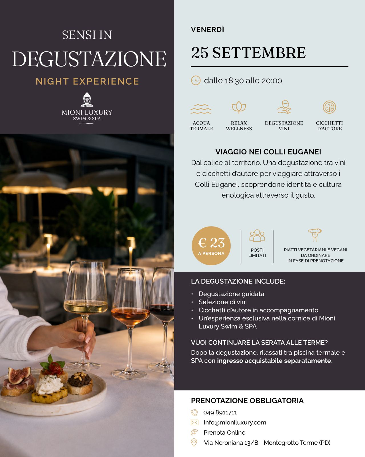 Sensi in Degustazione: Viaggio nei Colli Euganei